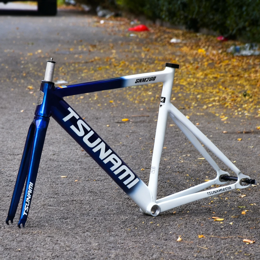 SNM200 Aluminum Alloy Fixed Ge - Cycling Commute Gear 评论和价格